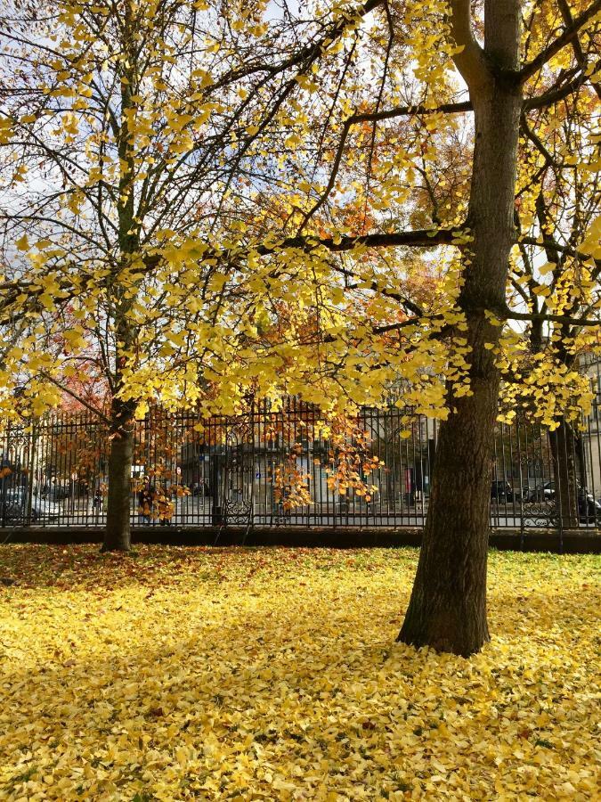 Romance Au Coeur De Bordeaux / Jardin Public المظهر الخارجي الصورة